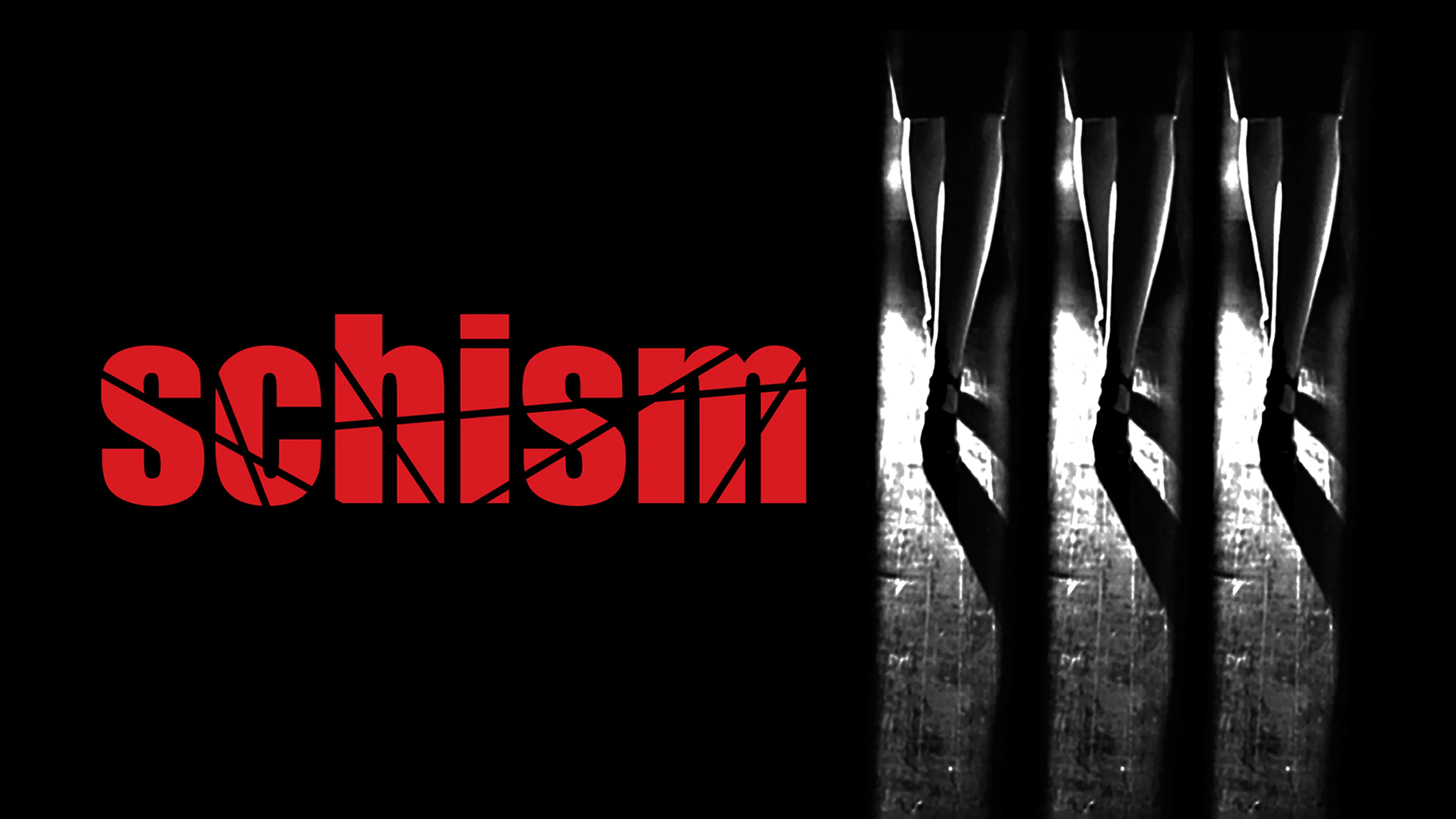Schism poster